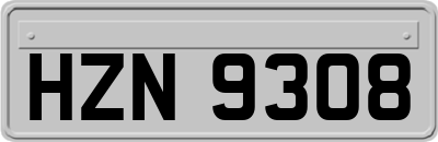 HZN9308