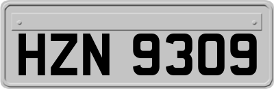 HZN9309