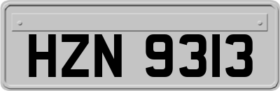 HZN9313