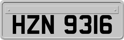 HZN9316