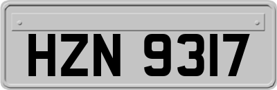 HZN9317