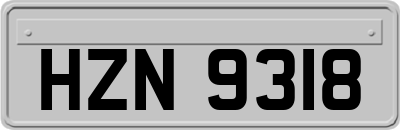 HZN9318