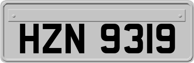 HZN9319
