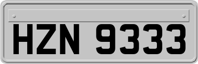 HZN9333