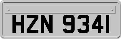 HZN9341