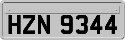 HZN9344