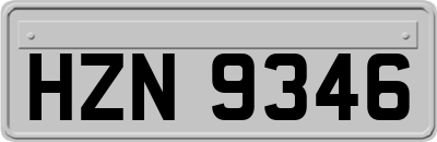 HZN9346