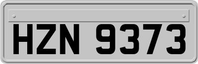 HZN9373