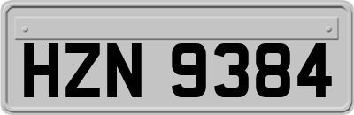 HZN9384