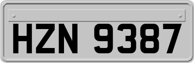 HZN9387