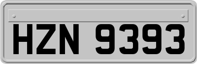 HZN9393