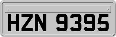 HZN9395