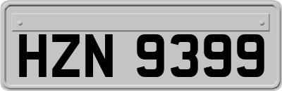 HZN9399