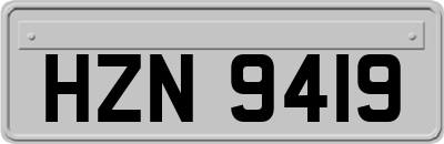 HZN9419