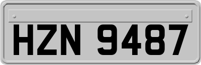 HZN9487