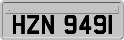 HZN9491