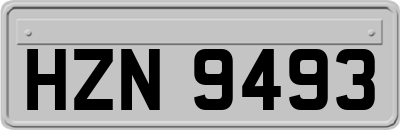 HZN9493