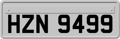 HZN9499