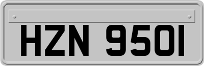 HZN9501
