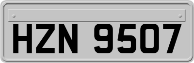 HZN9507