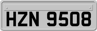 HZN9508