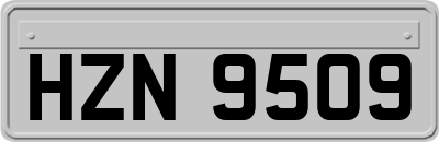HZN9509