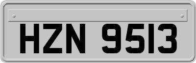 HZN9513