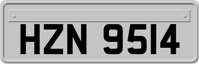 HZN9514