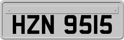 HZN9515