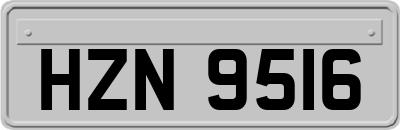 HZN9516