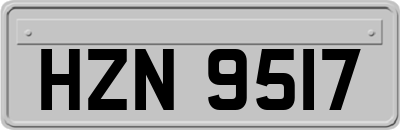 HZN9517