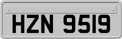 HZN9519