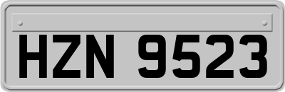 HZN9523