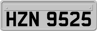 HZN9525