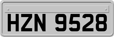 HZN9528