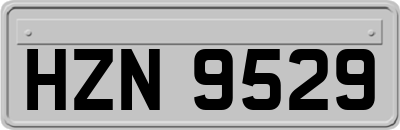 HZN9529