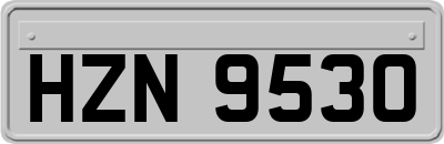 HZN9530