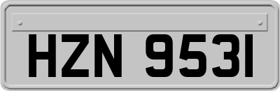 HZN9531