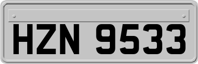 HZN9533
