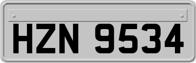 HZN9534