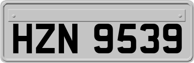 HZN9539