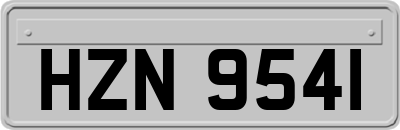 HZN9541
