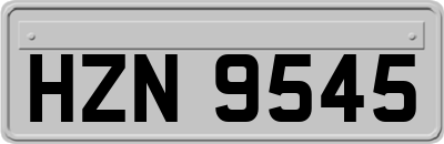 HZN9545