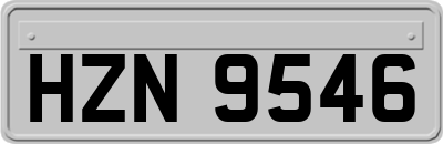 HZN9546