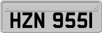 HZN9551