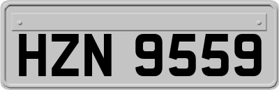 HZN9559