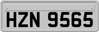 HZN9565