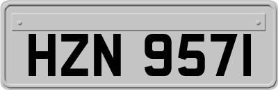 HZN9571