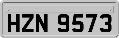 HZN9573