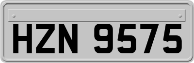 HZN9575